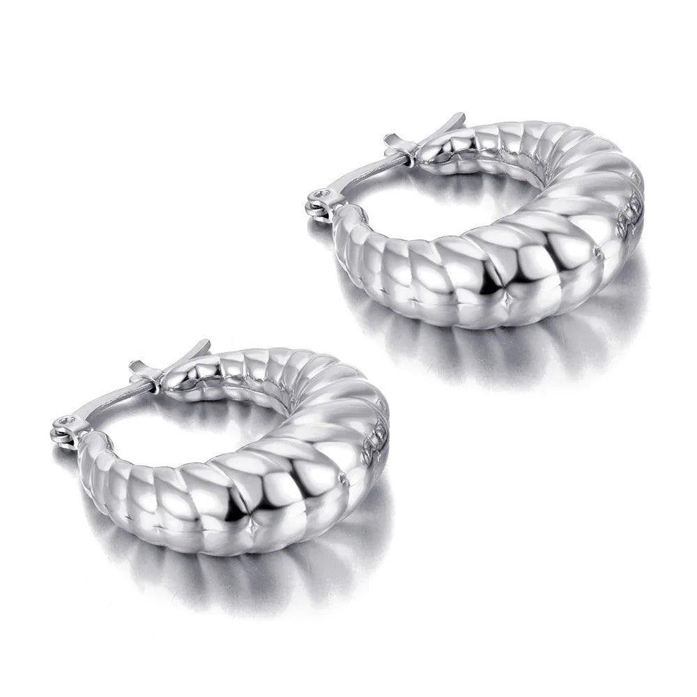 Stainless Steel Minimalist Twist Metalic Hoop Earrings For Women Trendy Geometric Statement Accessories Jewelry