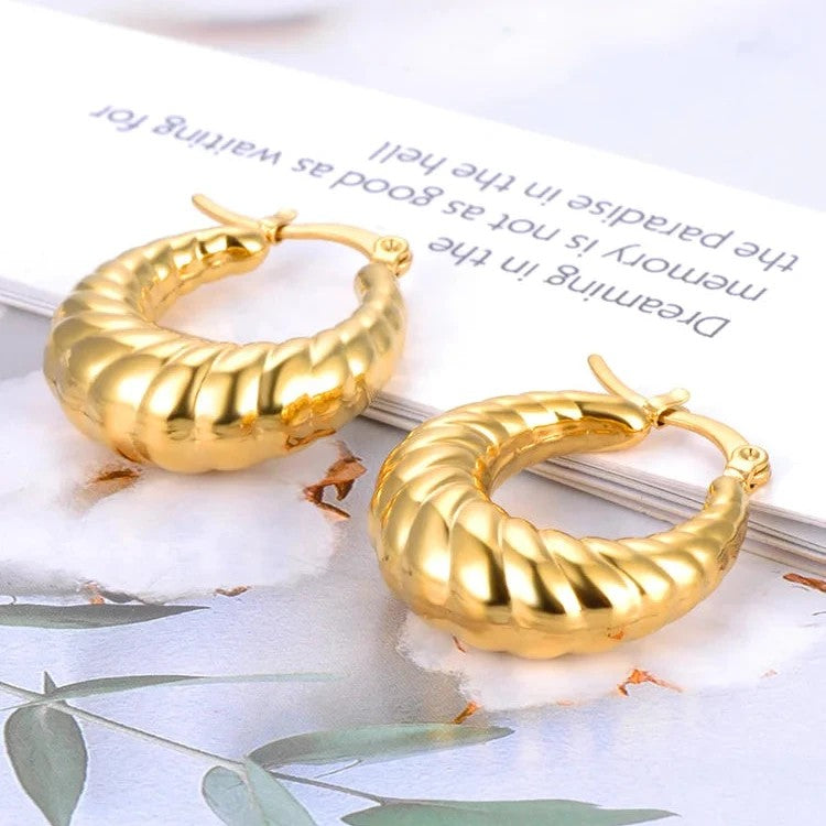 Stainless Steel Minimalist Twist Metalic Hoop Earrings For Women Trendy Geometric Statement Accessories Jewelry