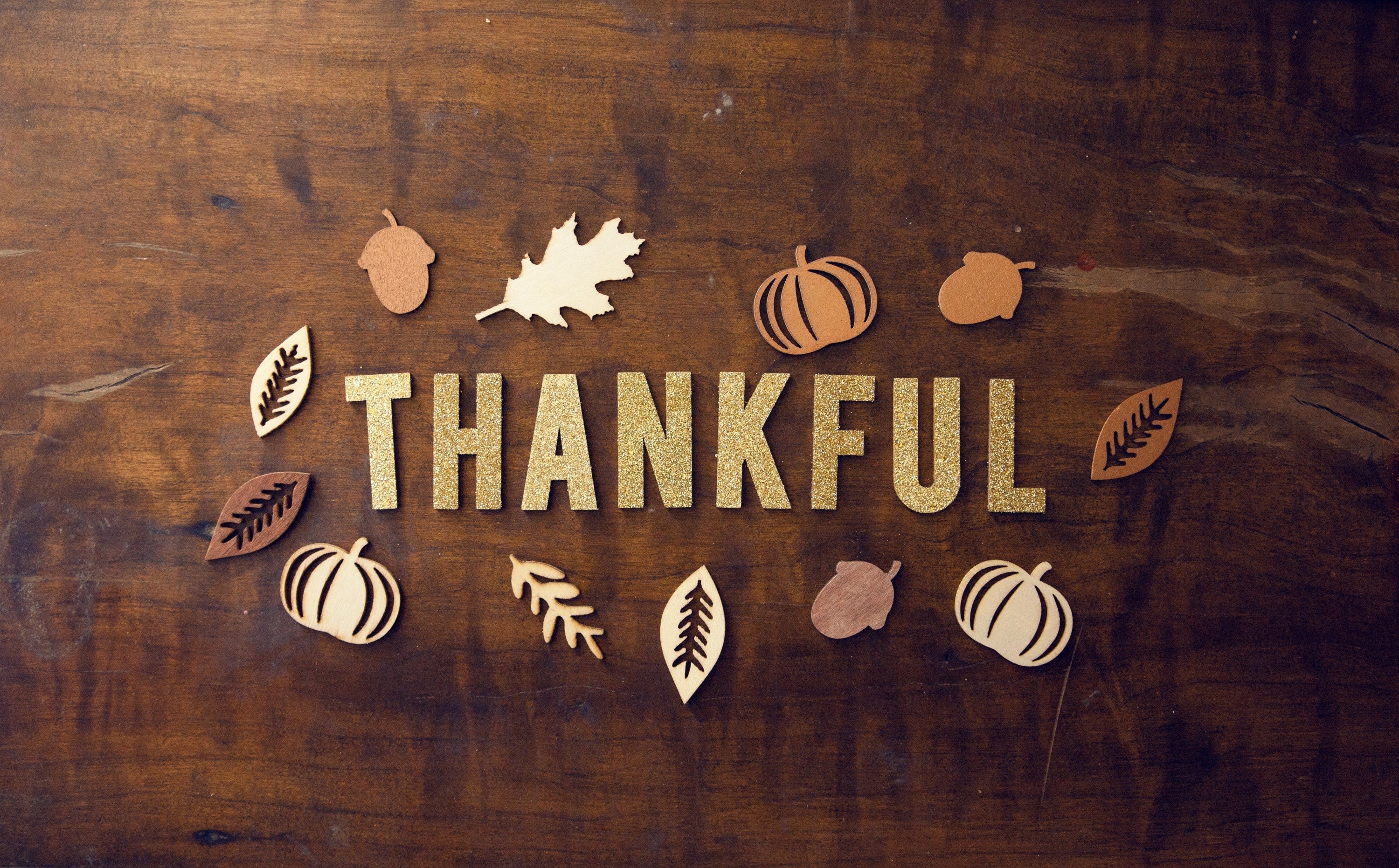 Thanksgiving Jewelry Picks: A Blend of Warmth and Elegance